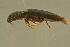  ( - GBOLBB508)  @11 [ ] CreativeCommons - Attribution Non-Commercial Share-Alike (2016) SNSB, Staatliche Naturwissenschaftliche Sammlungen Bayerns ZSM (SNSB, Zoologische Staatssammlung Muenchen)