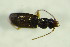  ( - GBOL 05344)  @12 [ ] CreativeCommons - Attribution Non-Commercial Share-Alike (2015) Unspecified SNSB, Zoologische Staatssammlung Muenchen