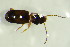  ( - GBOL 05346)  @12 [ ] CreativeCommons - Attribution Non-Commercial Share-Alike (2015) Unspecified SNSB, Zoologische Staatssammlung Muenchen