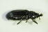  ( - GBOL 05407)  @12 [ ] CreativeCommons - Attribution Non-Commercial Share-Alike (2015) Unspecified SNSB, Zoologische Staatssammlung Muenchen