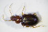  ( - GBOL_Col_FK_09428)  @13 [ ] CreativeCommons - Attribution Non-Commercial Share-Alike (2015) Unspecified SNSB, Zoologische Staatssammlung Muenchen