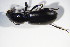  ( - GBOL_Col_FK_09494)  @12 [ ] CreativeCommons - Attribution Non-Commercial Share-Alike (2015) Unspecified SNSB, Zoologische Staatssammlung Muenchen