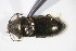  ( - GBOL_Col_FK_09555)  @12 [ ] CreativeCommons - Attribution Non-Commercial Share-Alike (2015) Unspecified SNSB, Zoologische Staatssammlung Muenchen
