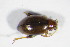  ( - GBOL_Col_FK_09640)  @12 [ ] CreativeCommons - Attribution Non-Commercial Share-Alike (2015) Unspecified SNSB, Zoologische Staatssammlung Muenchen