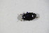  ( - GBOL_Col_FK_10512)  @11 [ ] CreativeCommons - Attribution Non-Commercial Share-Alike (2015) Unspecified SNSB, Zoologische Staatssammlung Muenchen