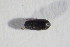  ( - GBOL_Col_FK_10632)  @12 [ ] CreativeCommons - Attribution Non-Commercial Share-Alike (2015) Unspecified SNSB, Zoologische Staatssammlung Muenchen