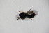  ( - GBOL_Col_FK_10683)  @12 [ ] CreativeCommons - Attribution Non-Commercial Share-Alike (2015) Unspecified SNSB, Zoologische Staatssammlung Muenchen