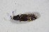  ( - GBOL_Col_FK_10878)  @11 [ ] CreativeCommons - Attribution Non-Commercial Share-Alike (2015) Unspecified SNSB, Zoologische Staatssammlung Muenchen