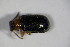  ( - GBOL_Col_FK_6879)  @12 [ ] CreativeCommons - Attribution Non-Commercial Share-Alike (2015) Unspecified SNSB, Zoologische Staatssammlung Muenchen