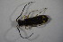  ( - GBOL_Col_FK_7129)  @12 [ ] CreativeCommons - Attribution Non-Commercial Share-Alike (2015) Unspecified SNSB, Zoologische Staatssammlung Muenchen
