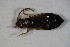  ( - GBOL_Col_FK_7144)  @12 [ ] CreativeCommons - Attribution Non-Commercial Share-Alike (2015) Unspecified SNSB, Zoologische Staatssammlung Muenchen