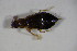  ( - GBOL_Col_FK_7201)  @12 [ ] CreativeCommons - Attribution Non-Commercial Share-Alike (2015) Unspecified SNSB, Zoologische Staatssammlung Muenchen