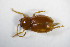  ( - GBOL_Col_FK_7691)  @12 [ ] CreativeCommons - Attribution Non-Commercial Share-Alike (2015) Unspecified SNSB, Zoologische Staatssammlung Muenchen