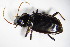 ( - GBOL_Col_FK_7880)  @12 [ ] CreativeCommons - Attribution Non-Commercial Share-Alike (2015) Unspecified SNSB, Zoologische Staatssammlung Muenchen