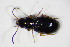  ( - GBOL_Col_FK_7943)  @11 [ ] CreativeCommons - Attribution Non-Commercial Share-Alike (2015) Unspecified SNSB, Zoologische Staatssammlung Muenchen