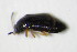  ( - GBOL_Col_FK_8052)  @12 [ ] CreativeCommons - Attribution Non-Commercial Share-Alike (2015) Unspecified SNSB, Zoologische Staatssammlung Muenchen