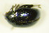  ( - GBOL_Col_FK_8161)  @12 [ ] CreativeCommons - Attribution Non-Commercial Share-Alike (2015) Unspecified SNSB, Zoologische Staatssammlung Muenchen