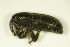  ( - GBOL_Col_FK_8163)  @12 [ ] CreativeCommons - Attribution Non-Commercial Share-Alike (2015) Unspecified SNSB, Zoologische Staatssammlung Muenchen