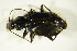  ( - GBOL_Col_FK_8626)  @13 [ ] CreativeCommons - Attribution Non-Commercial Share-Alike (2015) Unspecified SNSB, Zoologische Staatssammlung Muenchen