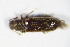  ( - GBOL_Col_FK_8967)  @12 [ ] CreativeCommons - Attribution Non-Commercial Share-Alike (2015) Unspecified SNSB, Zoologische Staatssammlung Muenchen