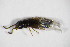  ( - GBOL_Col_FK_9090)  @12 [ ] CreativeCommons - Attribution Non-Commercial Share-Alike (2015) Unspecified SNSB, Zoologische Staatssammlung Muenchen