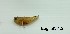  (Eugnathogobius siamensis - EugnatSi1.2)  @11 [ ] Unspecified (default): All Rights Reserved  Unspecified Unspecified