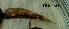  ( - RhinoMe1.4)  @11 [ ] Unspecified (default): All Rights Reserved  Unspecified Unspecified
