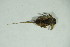  ( - GBOL05460)  @12 [ ] CreativeCommons - Attribution Non-Commercial Share-Alike (2015) Unspecified SNSB, Zoologische Staatssammlung Muenchen