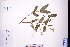  ( - GBA-DWQGZ90)  @11 [ ] by-nc-sa  Xue-Jun Ge Herbarium of South China Botanical Garden