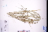  ( - GBA-DWQGZ108)  @11 [ ] by-nc-sa  Xue-Jun Ge Herbarium of South China Botanical Garden