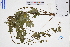  ( - GBA-DWQGZ191)  @11 [ ] by-nc-sa  Xue-Jun Ge Herbarium of South China Botanical Garden
