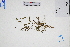  ( - GBA-DWQGZ389)  @11 [ ] by-nc-sa  Xue-Jun Ge Herbarium of South China Botanical Garden