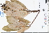  ( - GBA-REC541)  @11 [ ] by-nc-sa  Xue-Jun Ge Herbarium of South China Botanical Garden