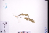  ( - GBA-REC729)  @11 [ ] by-nc-sa  Xue-Jun Ge Herbarium of South China Botanical Garden
