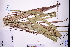  ( - GBA-REC740)  @11 [ ] by-nc-sa  Xue-Jun Ge Herbarium of South China Botanical Garden