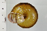  ( - SDNCU-A1370)  @14 [ ] Copyright (2014) Unspecified Specimen depository of the Graduate School of Natural Sciences, Nagoya City University
