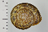  ( - SDNCU-A1301)  @14 [ ] Copyright (2014) Unspecified Specimen depository of the Graduate School of Natural Sciences, Nagoya City University