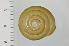  ( - SDNCU-A1188)  @14 [ ] Copyright (2014) Unspecified Specimen depository of the Graduate School of Natural Sciences, Nagoya City University