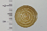  ( - SDNCU-A1539)  @13 [ ] Copyright (2014) Unspecified Specimen depository of the Graduate School of Natural Sciences, Nagoya City University