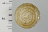  ( - SDNCU-A1540)  @12 [ ] Copyright (2014) Unspecified Specimen depository of the Graduate School of Natural Sciences, Nagoya City University