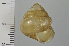  ( - SDNCU-A1540)  @13 [ ] Copyright (2014) Unspecified Specimen depository of the Graduate School of Natural Sciences, Nagoya City University