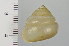  ( - SDNCU-A1541)  @13 [ ] Copyright (2014) Unspecified Specimen depository of the Graduate School of Natural Sciences, Nagoya City University