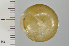  ( - SDNCU-A1540)  @13 [ ] Copyright (2014) Unspecified Specimen depository of the Graduate School of Natural Sciences, Nagoya City University