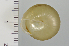  ( - SDNCU-A1541)  @13 [ ] Copyright (2014) Unspecified Specimen depository of the Graduate School of Natural Sciences, Nagoya City University