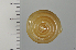  ( - SDNCU-A1542)  @13 [ ] Copyright (2014) Unspecified Specimen depository of the Graduate School of Natural Sciences, Nagoya City University