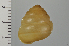  ( - SDNCU-A1542)  @14 [ ] Copyright (2014) Unspecified Specimen depository of the Graduate School of Natural Sciences, Nagoya City University