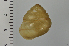  ( - SDNCU-A1546)  @13 [ ] Copyright (2014) Unspecified Specimen depository of the Graduate School of Natural Sciences, Nagoya City University