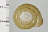  ( - SDNCU-A1182)  @14 [ ] Copyright (2014) Unspecified Specimen depository of the Graduate School of Natural Sciences, Nagoya City University