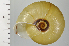  ( - SDNCU-A1230)  @14 [ ] Copyright (2014) Unspecified Specimen depository of the Graduate School of Natural Sciences, Nagoya City University
