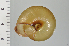  ( - SDNCU-A1110)  @14 [ ] Copyright (2014) Unspecified Specimen depository of the Graduate School of Natural Sciences, Nagoya City University